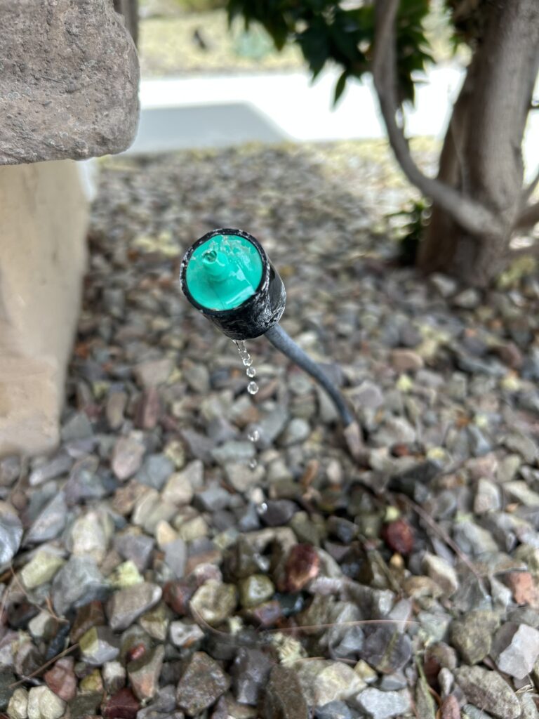 drip irrigation in buckeye az