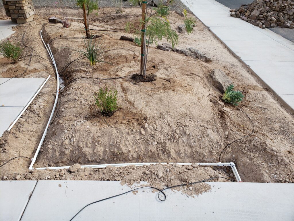 irrigation lines in buckeye